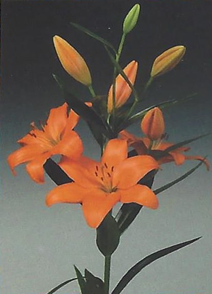 Eremo